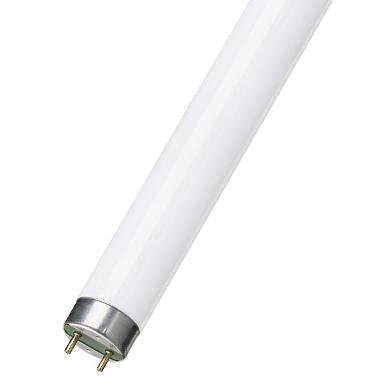 Fluorescent T8 32W Tube